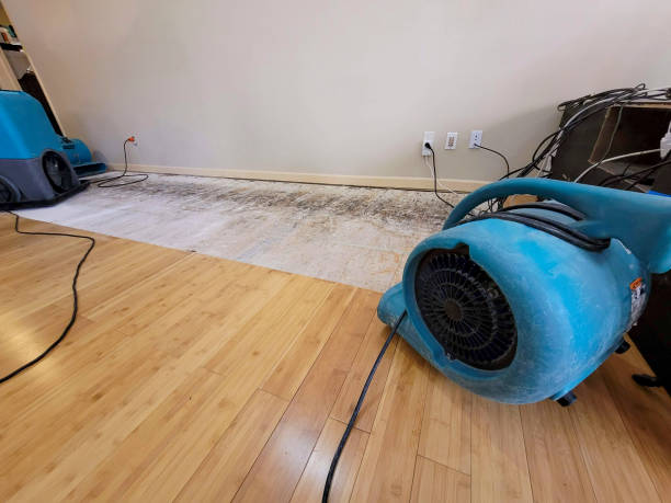 Professional Water Removal technician working in Cresson, TX
